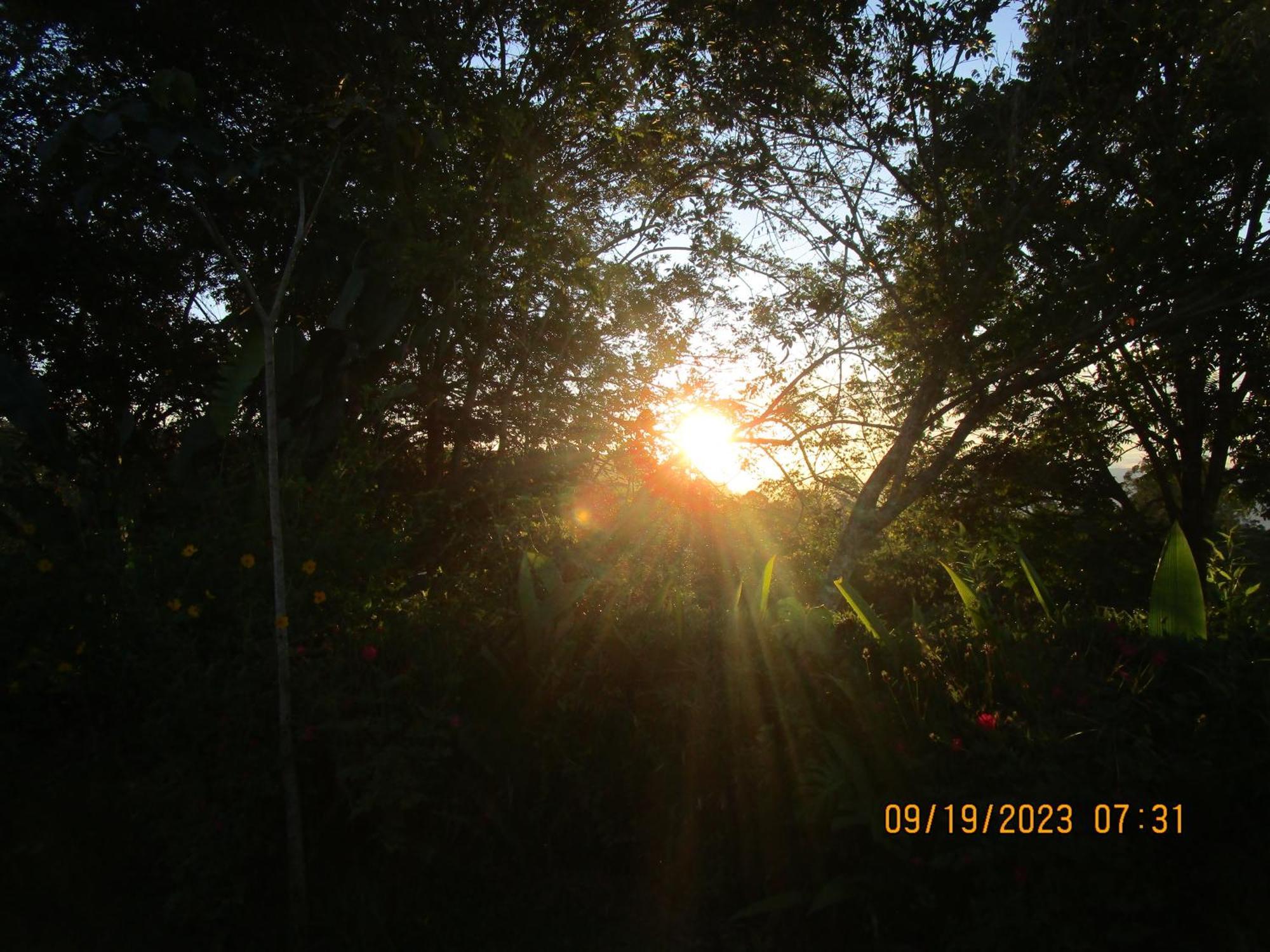 Casa Aquiares Lodge Posada Rural Турриальба Экстерьер фото